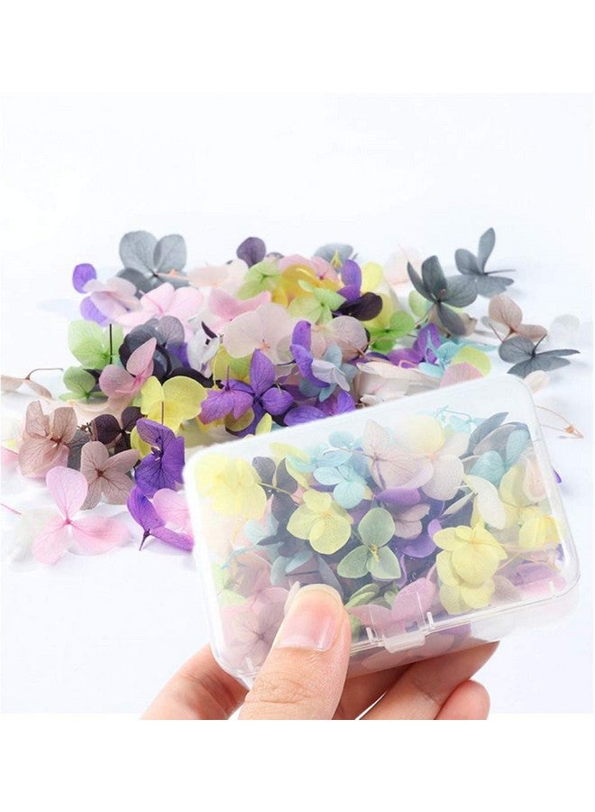XICHEN 100 Pcs Hydrangea Petals Of Dry Flowers Nail Art Stickers Natural Nail Supplies Curved Tweezers With Professional - Image 4
