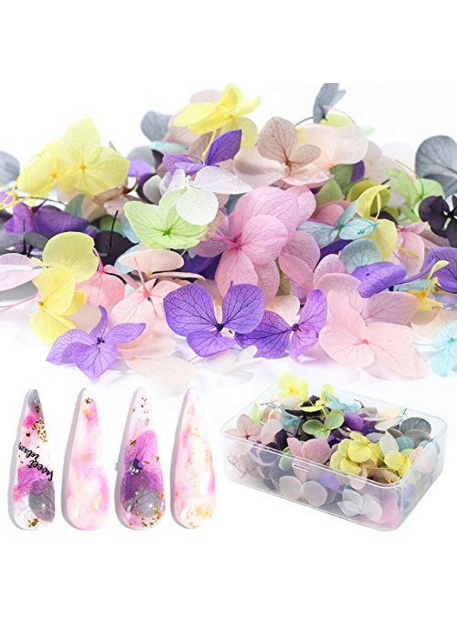 XICHEN 100 Pcs Hydrangea Petals Of Dry Flowers Nail Art Stickers Natural Nail Supplies Curved Tweezers With Professional - Image 1