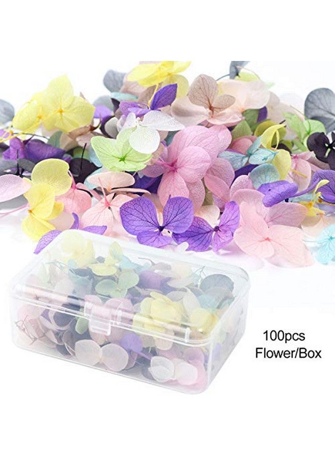 XICHEN 100 Pcs Hydrangea Petals Of Dry Flowers Nail Art Stickers Natural Nail Supplies Curved Tweezers With Professional - Image 3