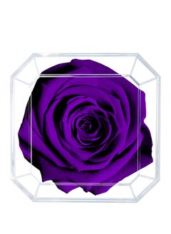 Eternal Petals,  A 100% Real Rose That Lasts Years - Gold Solo (Purple) - pzsku/ZA6113F271ED93FDDDA67Z/45/_/1645699409/ba8a3f17-20b5-40cf-8a49-07d58aaf1650