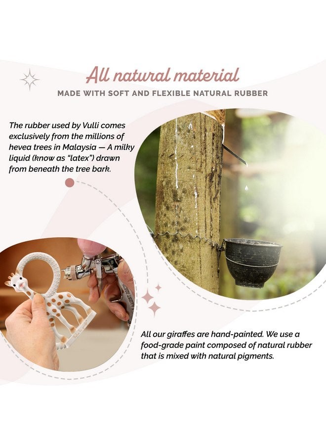 صوفي لا جيراف صوفي الزرافة | حلقة التسنين | مصنوعة من المطاط الطبيعي | مصممة للأطفال الذين يعانون من التسنين | توقظ الحواس الخمس | سهلة التنظيف - Image 3