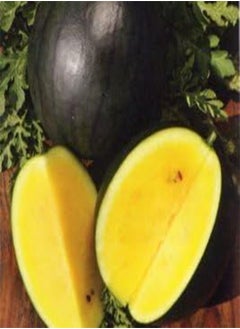 Polish Heirloom Heritage Water Melon Seeds. JANOSIK Yellow Watermelon Certified French Organic Grower