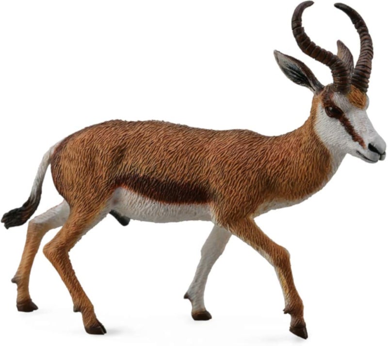 CollectA Wildlife Springbok Toy Figure - Authentic Hand Painted Model