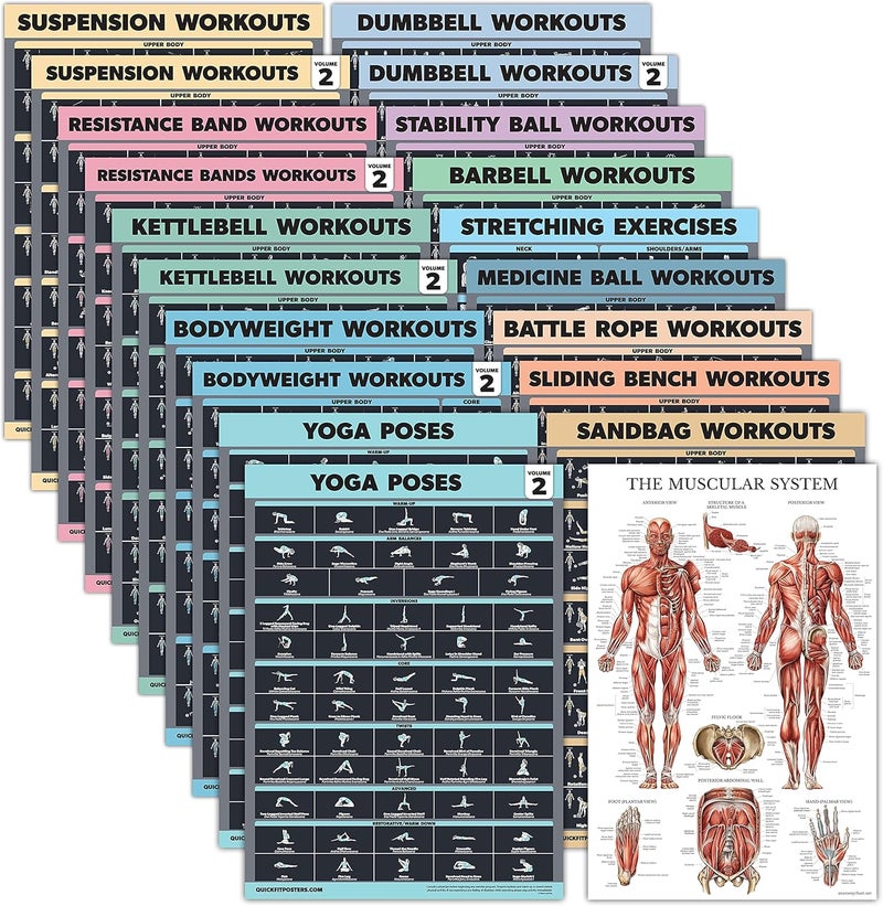Palace Learning 20 Pack - Exercise Poster Set: Dumbbell, Suspension, Battle Rope, Stretching, Bodyweight, Barbell, Yoga, Exercise Ball, Muscular, Kettlebell, Resistance Bands and More [Dark] (LAMINATED, 18” x 24”) - Image 1