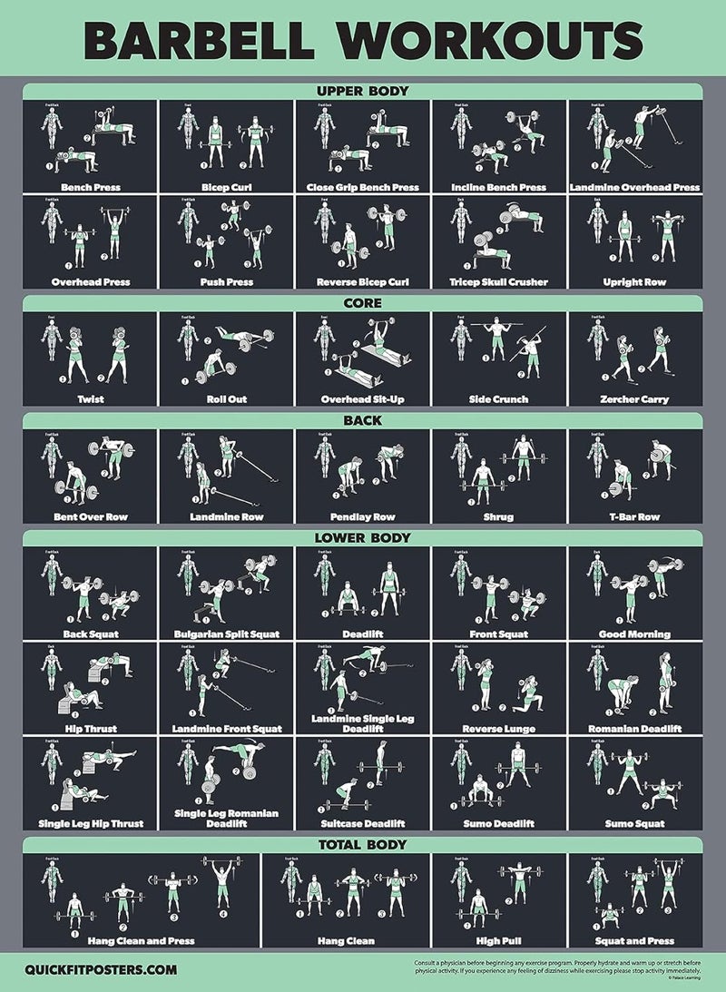 Palace Learning 20 Pack - Exercise Poster Set: Dumbbell, Suspension, Battle Rope, Stretching, Bodyweight, Barbell, Yoga, Exercise Ball, Muscular, Kettlebell, Resistance Bands and More [Dark] (LAMINATED, 18” x 24”) - Image 4