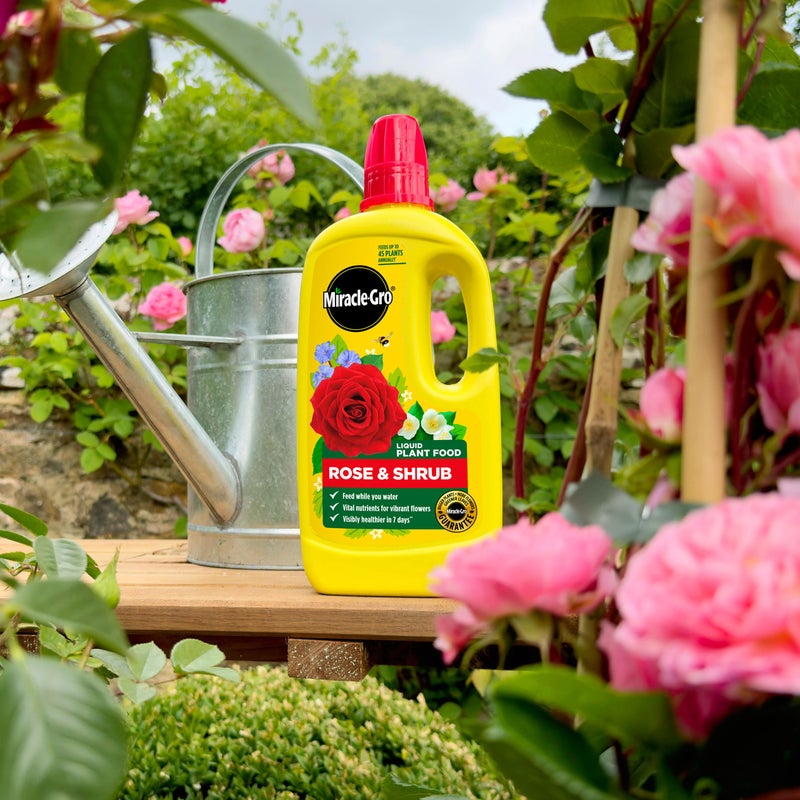 Miracle-Gro Rose & Shrub Concentrated Liquid Plant Food, 800ml - Image 3