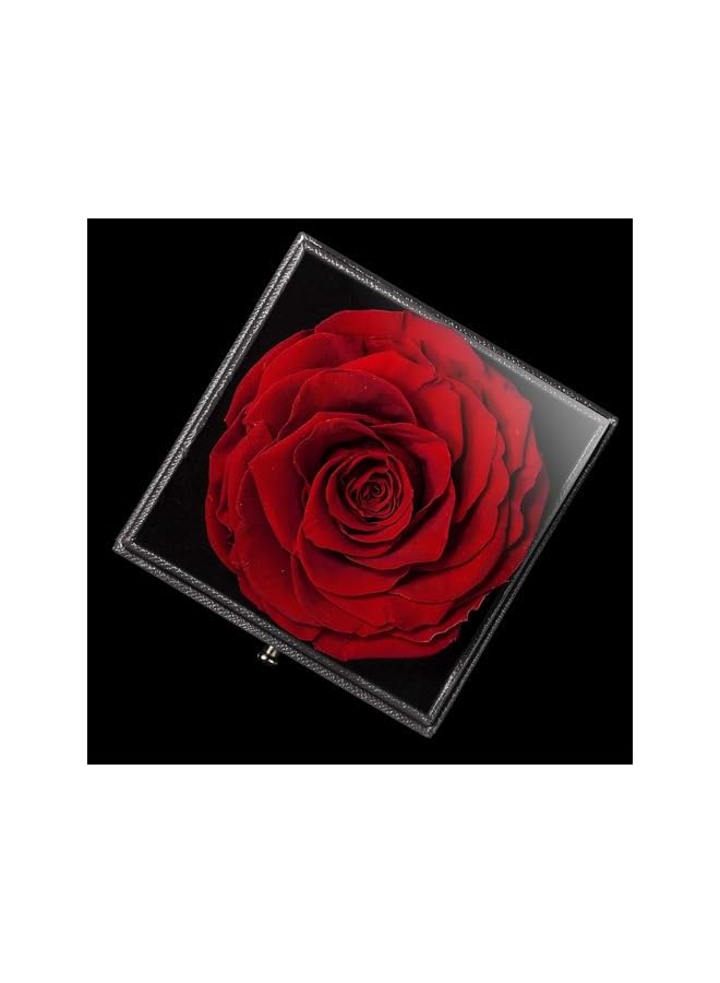 The Bros Preserved Rose Jewelry Box with Love You Necklace in 100 Languages Gift Set for Girlfriend Mother Wife on Anniversary Valentine's Day Mother's Day (Red1, Alloy Necklace) - Image 4