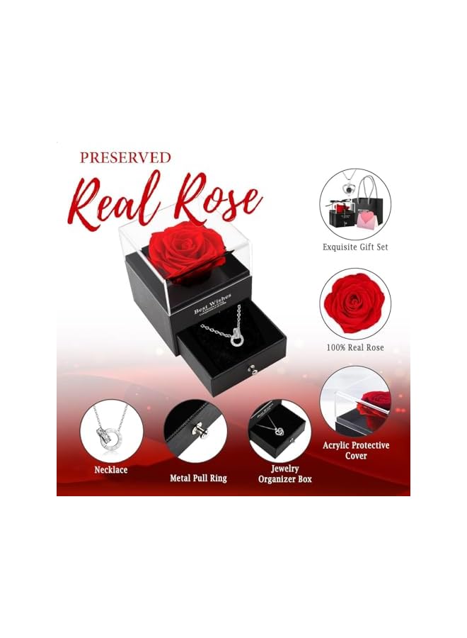 The Bros Preserved Rose Jewelry Box with Love You Necklace in 100 Languages Gift Set for Girlfriend Mother Wife on Anniversary Valentine's Day Mother's Day (Red1, Alloy Necklace) - Image 3