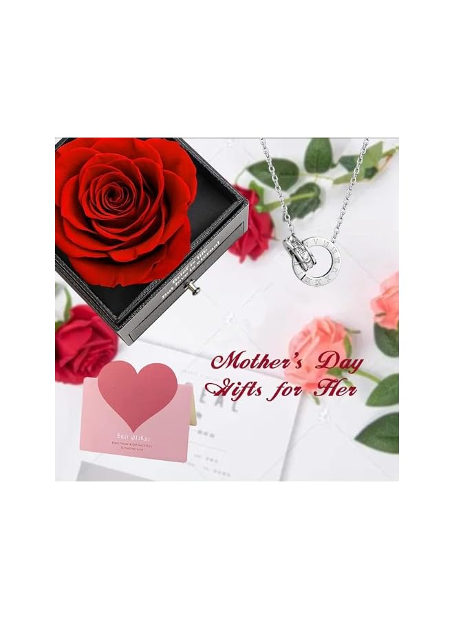 The Bros Preserved Rose Jewelry Box with Love You Necklace in 100 Languages Gift Set for Girlfriend Mother Wife on Anniversary Valentine's Day Mother's Day (Red1, Alloy Necklace) - Image 5