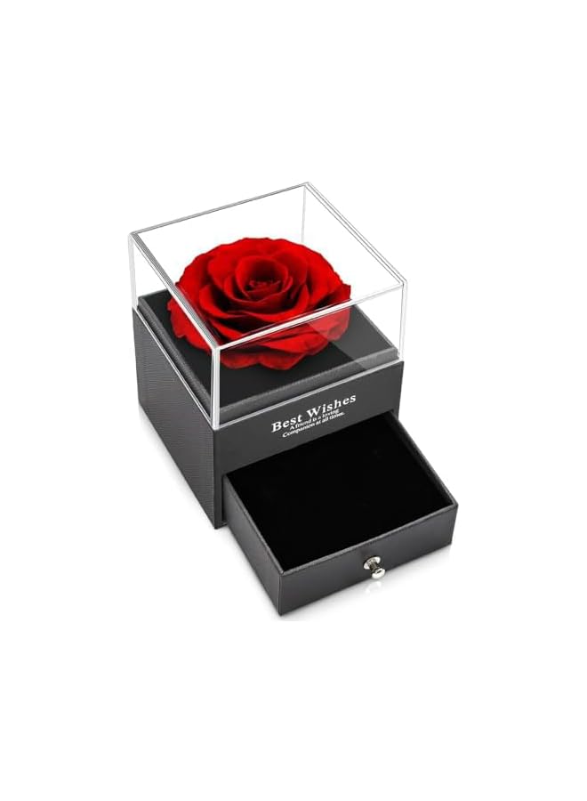The Bros Preserved Rose Jewelry Box with Love You Necklace in 100 Languages Gift Set for Girlfriend Mother Wife on Anniversary Valentine's Day Mother's Day (Red1, Alloy Necklace) - Image 1