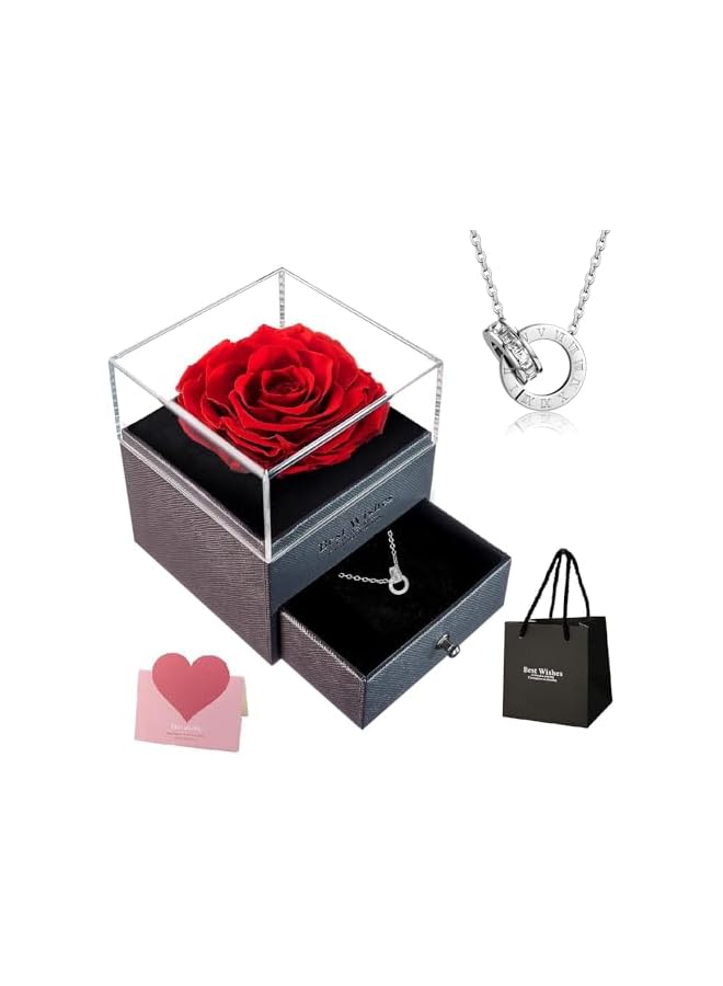 The Bros Preserved Rose Jewelry Box with Love You Necklace in 100 Languages Gift Set for Girlfriend Mother Wife on Anniversary Valentine's Day Mother's Day (Red1, Alloy Necklace) - Image 2