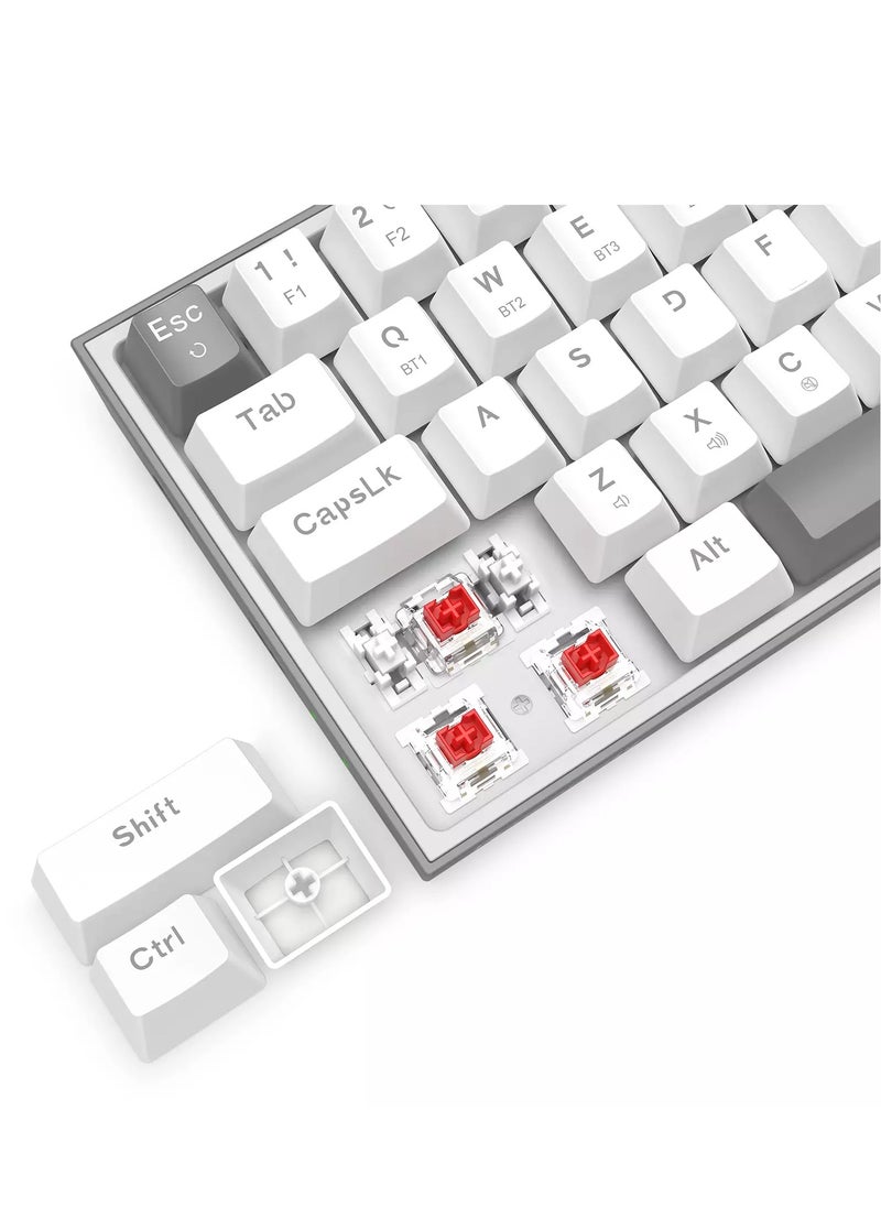 REDRAGON - K705WG-R-PRO LENA PRO 60% Wireless,Bluetooth Rainbow Gaming Keyboard, Quiet Red Switch - 68 Keys Compact - w/100% Hot-Swap Socket, Free-Mod Plate Mounted PCB & Dedicated Arrow Keys - Image 1