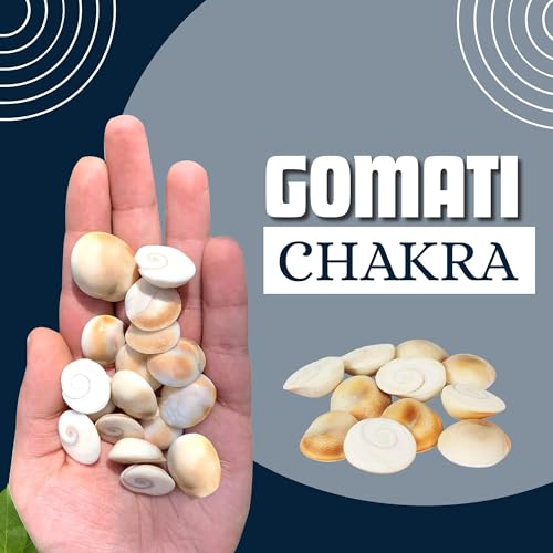 BrijBooti Gomati Chakra 21 Pieces - Stoneware Gomti Chakra - Sudarshan Chakra - Natural Gomti Chakra - Image 4