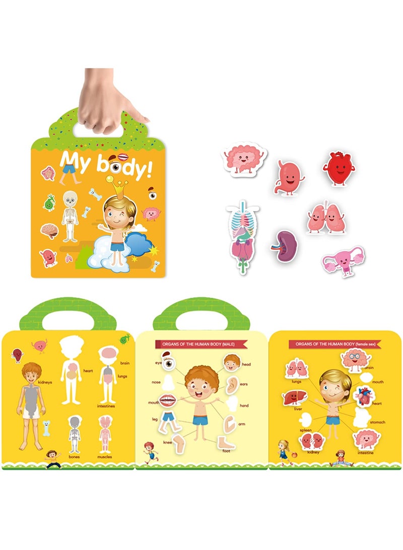 general Reusable Activity Sticker Learning Toys for Kids, Early Education Book Puzzle(My body) - Image 2