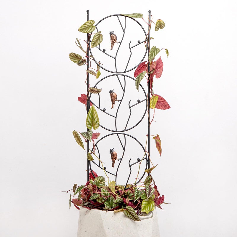 GOOOXIM Indoor Trellis for Climbing Plants - 35"x9" Metal Support for Potted Plants, Decorative Garden Art for Monstera, Pothos & Indoor Houseplants - Perfect for Vertical Growth & Home Decor - Image 1