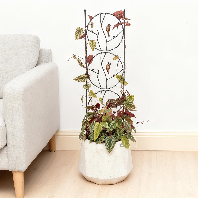 GOOOXIM Indoor Trellis for Climbing Plants - 35"x9" Metal Support for Potted Plants, Decorative Garden Art for Monstera, Pothos & Indoor Houseplants - Perfect for Vertical Growth & Home Decor - Image 5