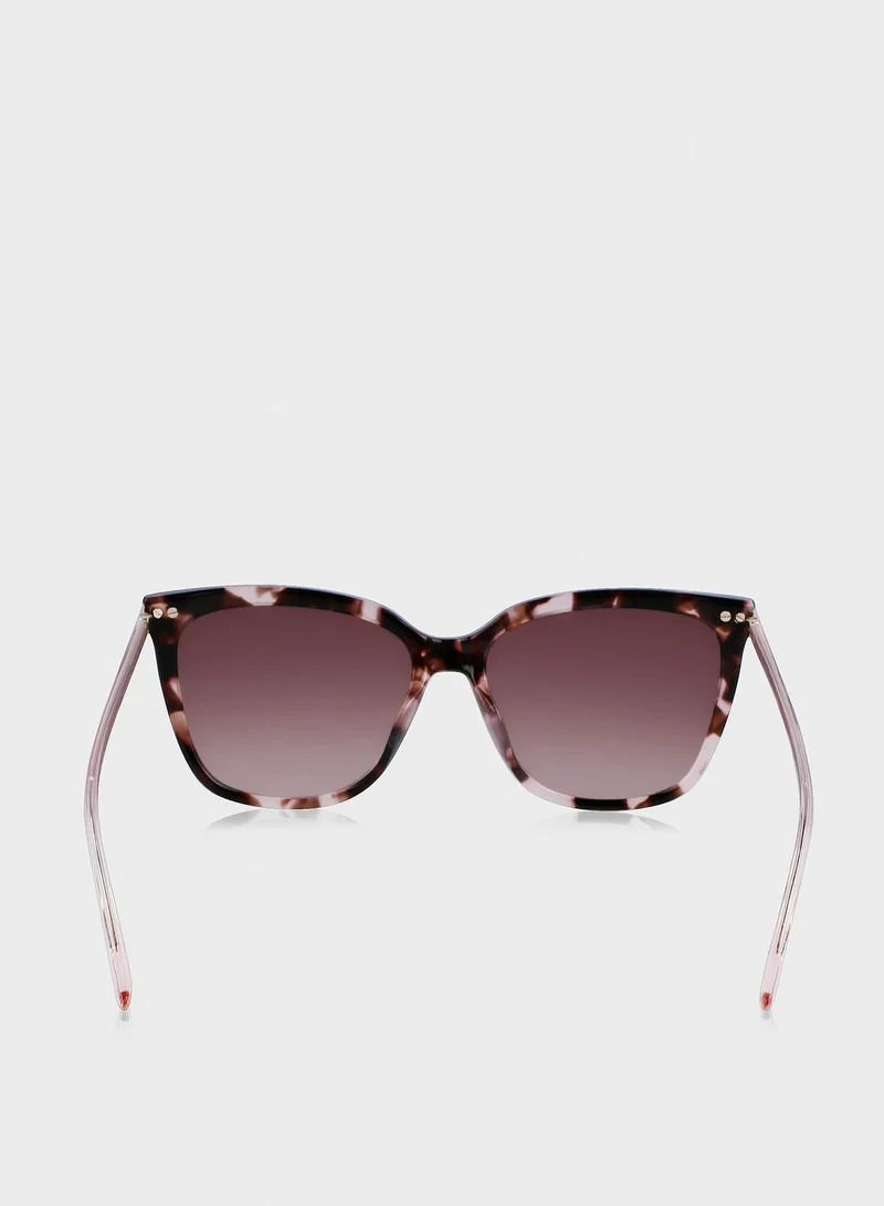 CALVIN KLEIN Modified Rectangle Sunglasses