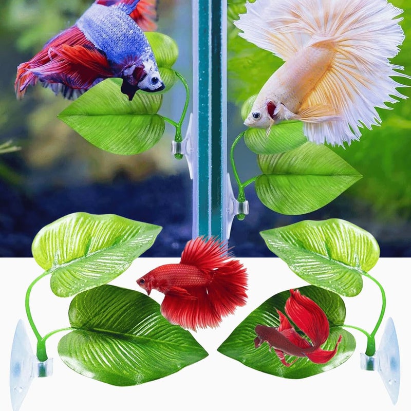 VAYINATO ® 2 قطع وسادة نباتية مزدوجة الأوراق لمنطقة راحة سمكة البيتا تحاكي الموطن الطبيعي لمناطق تكاثر البيتا | خالية من BPA | آمنة للأسماك من بيتزلايف وورلد - Image 1