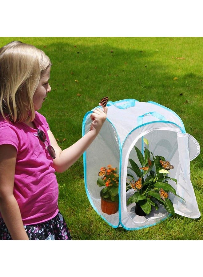 RESTCLOUD قفص موطن الحشرات والفراشات تيراريوم قابل للطي بارتفاع 24 بوصة - Image 3