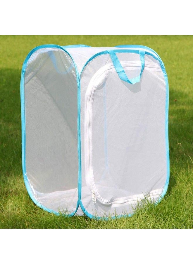 RESTCLOUD قفص موطن الحشرات والفراشات تيراريوم قابل للطي بارتفاع 24 بوصة - Image 5