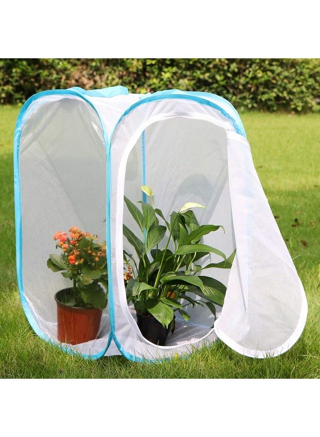 RESTCLOUD قفص موطن الحشرات والفراشات تيراريوم قابل للطي بارتفاع 24 بوصة - Image 4