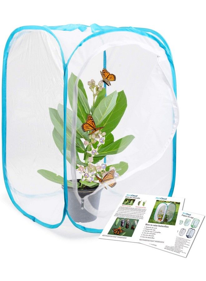 RESTCLOUD قفص موطن الحشرات والفراشات تيراريوم قابل للطي بارتفاع 24 بوصة - Image 2