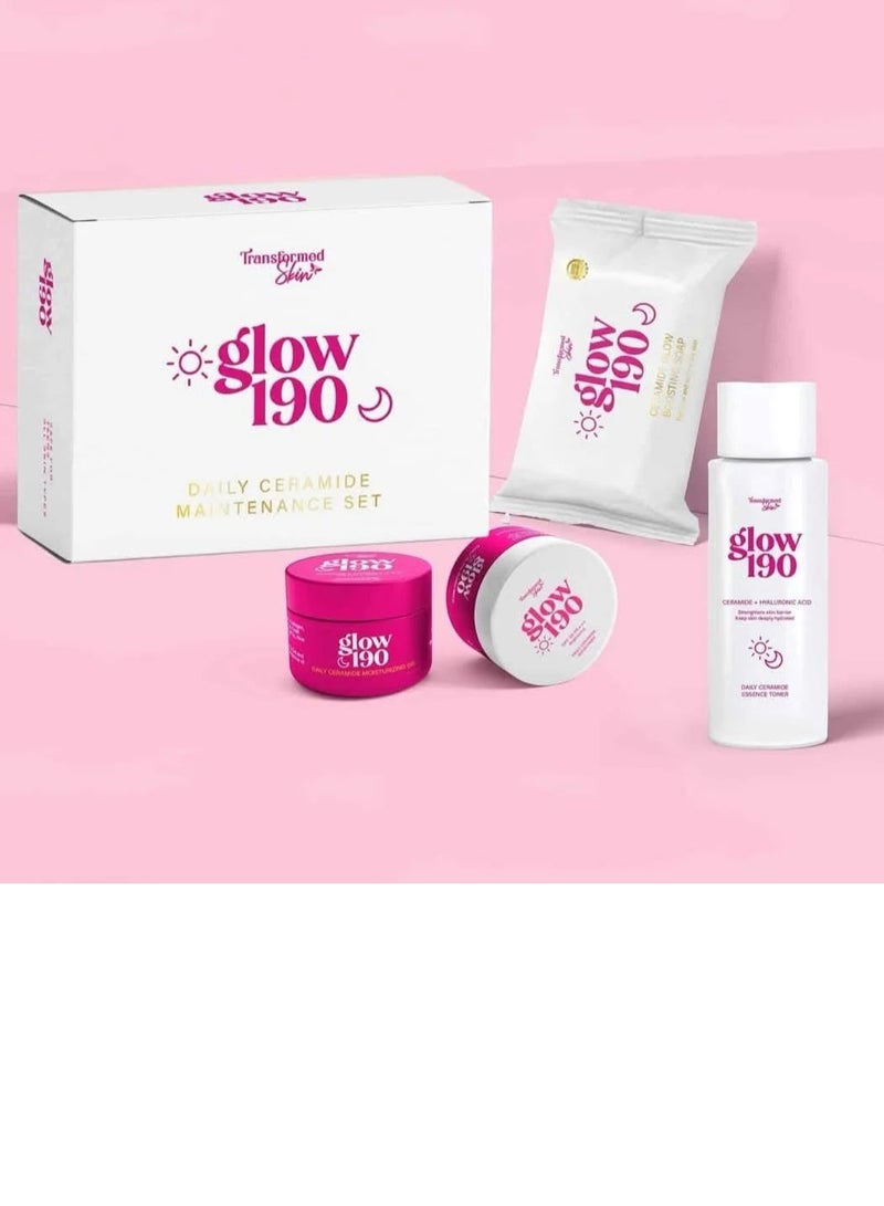 مجموعة الصيانة اليومية