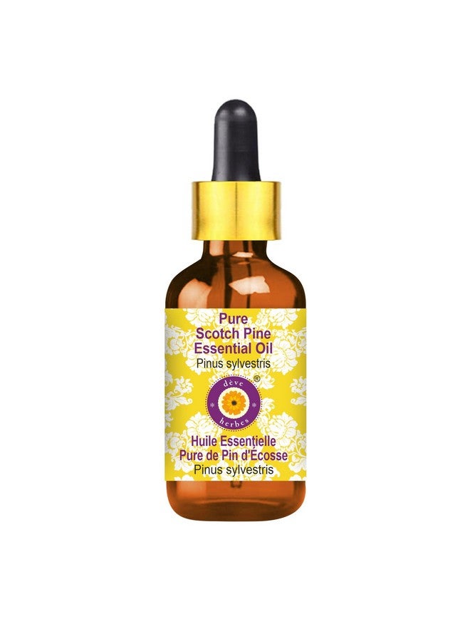 Deve Herbes Scotch Pine Essential Oil (Pinus sylvestris) with Glass Dropper Pure | Non-Sticky | Non-greasy | Lightweight | Men & Women | All Skin Types | Steam Distilled 50ml - Image 1