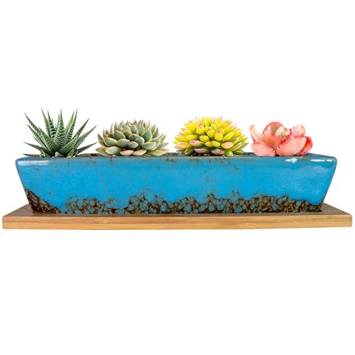 ARTKETTY Succulent Pots, 9.8 Inch Ceramic Succulent Planters with Drainage Small Bonsai Pot with Bamboo Tray, Mini Cactus Flower Planter Pot Shallow Rectangular Window Planters for Indoor Plants - Image 1