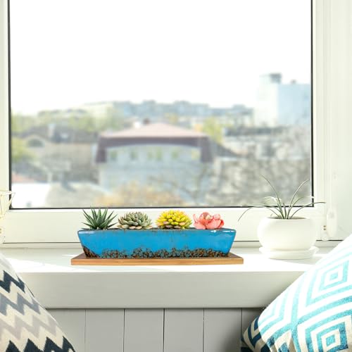 ARTKETTY Succulent Pots, 9.8 Inch Ceramic Succulent Planters with Drainage Small Bonsai Pot with Bamboo Tray, Mini Cactus Flower Planter Pot Shallow Rectangular Window Planters for Indoor Plants - Image 4