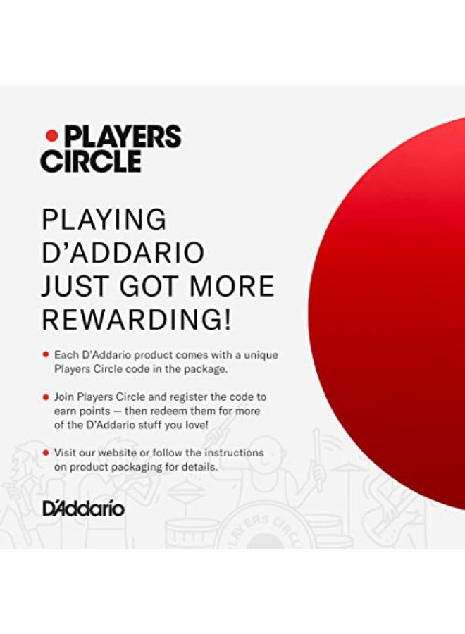 D'Addario Guitar Strings - Acoustic Guitar Strings - Nickel Bronze - For 6 String Guitar - Natural, Clear, & Focused Tone - NB1253 - Light, 12-53 - Image 5