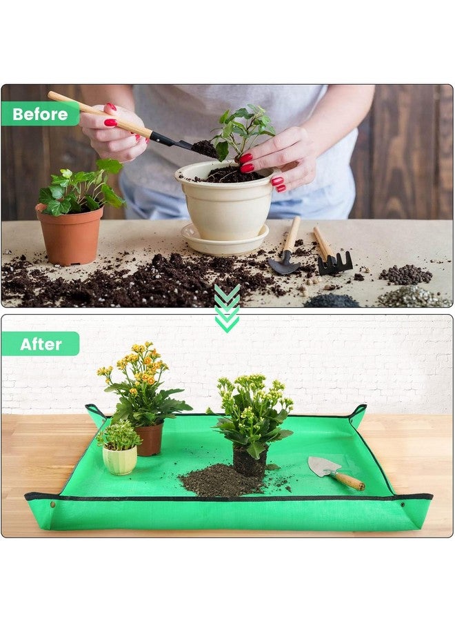 DHVSAM 100*100CM Gardening Mat for Indoor Bonsai Succulent Plant Care Waterproof and Foladable PE Garden Mat for Watering Grassland Balcony Nursery Potting and Transplanting Mat Plant Seedling Green - Image 3