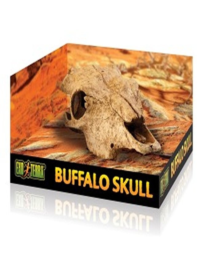 Exo Terra Exo Terra Buffalo Skull 
