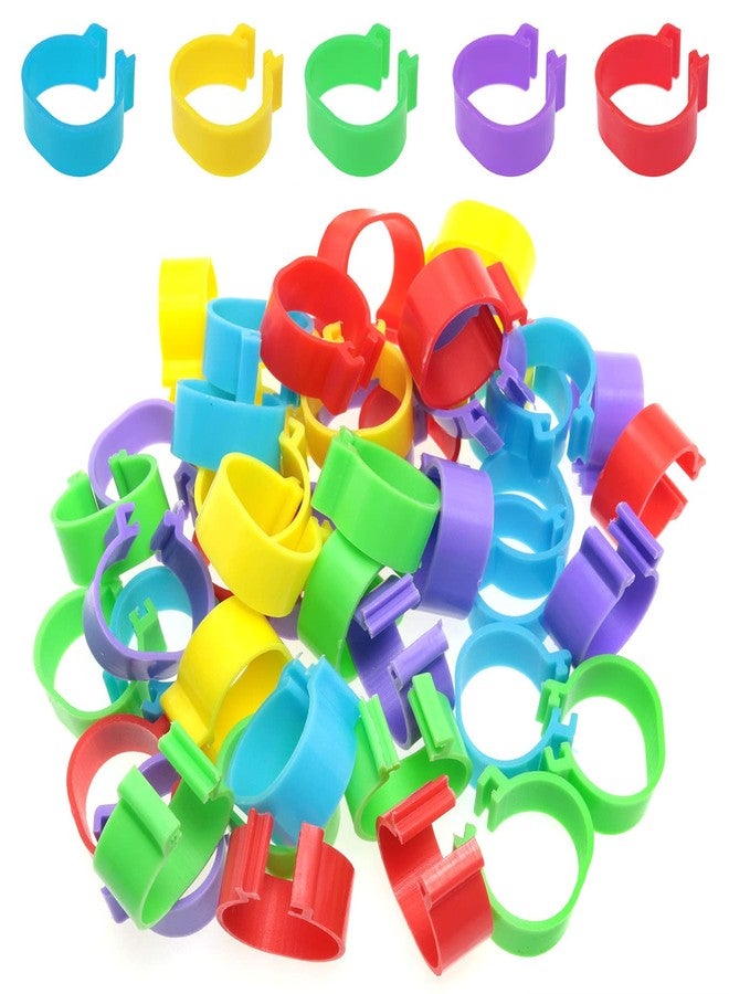 Mutai 16mm Chicken Identification Band 50PCS 16mm 5Color Plastic Poultry Chickens Ducks Leg Rings Clip-On Round Tags Poultry Identification Bands - Image 2