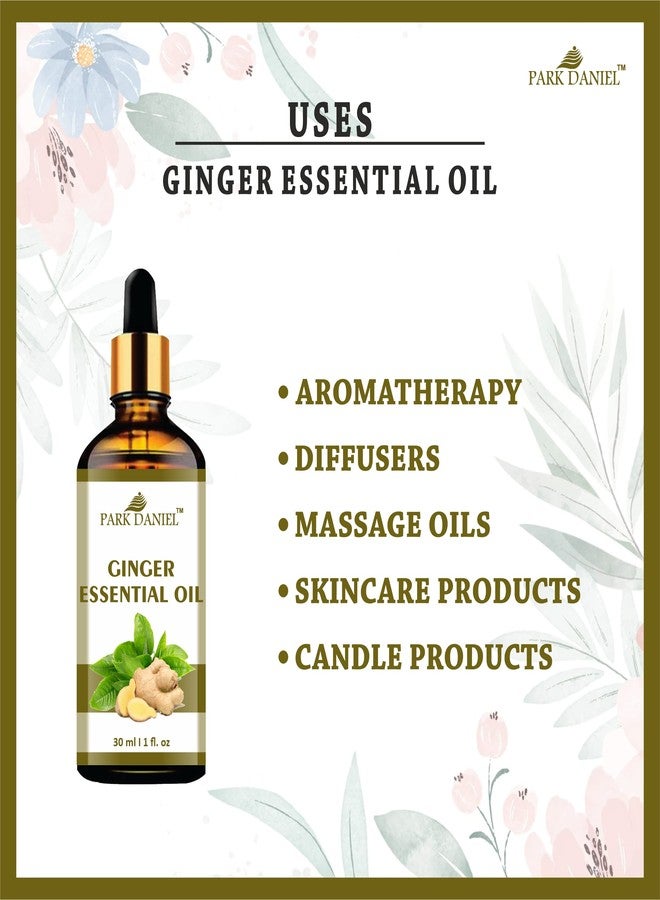 Park Daniel Pure & Natural Ginger Essential Oil | Helps Even Tone Skin & Supports Belly Drainage with Ginger Extract | Pack of 2 (30 ml Each, 60 ml) - Image 4