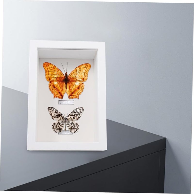 إطار عرض خشبي أبيض ريفي مع صندوق ظل للعينة الفراشة الزهور المجففة الميداليات الصور - Image 5