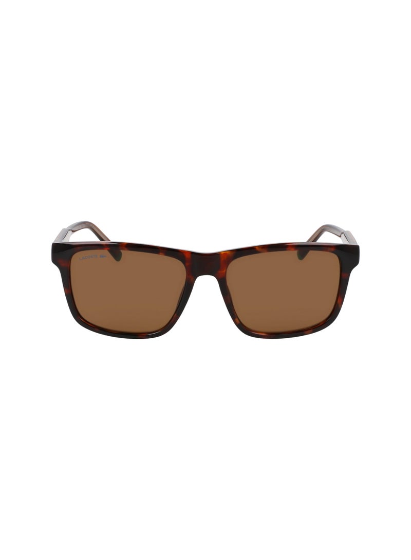 LACOSTE FULL RIM BIO INJ-G820 MODIFIED RECTANGLE LACOSTE SUNS L6025S  5617 (219) HAVANA BROWN - Image 1