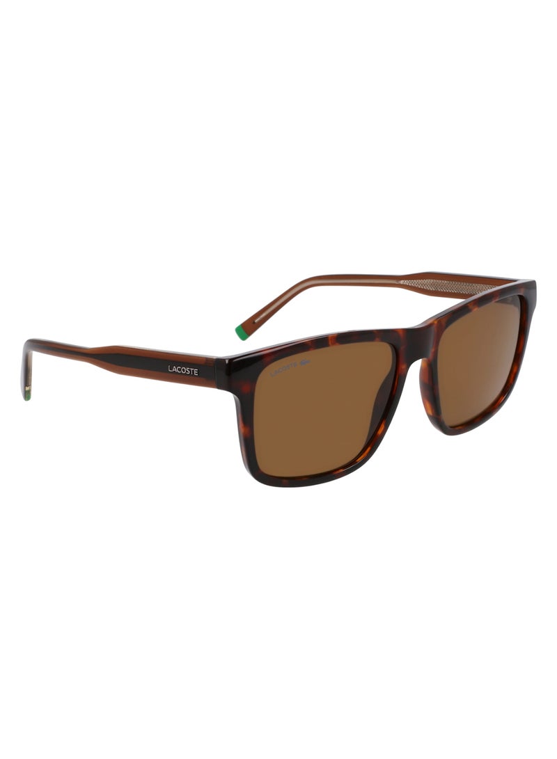 LACOSTE FULL RIM BIO INJ-G820 MODIFIED RECTANGLE LACOSTE SUNS L6025S  5617 (219) HAVANA BROWN - Image 3