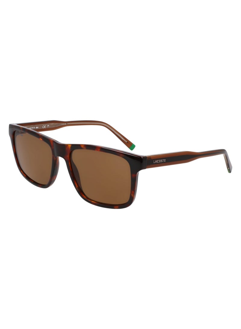 LACOSTE FULL RIM BIO INJ-G820 MODIFIED RECTANGLE LACOSTE SUNS L6025S  5617 (219) HAVANA BROWN - Image 2