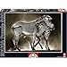 Educa Kids Zebras Puzzle 500Piece - Image 3