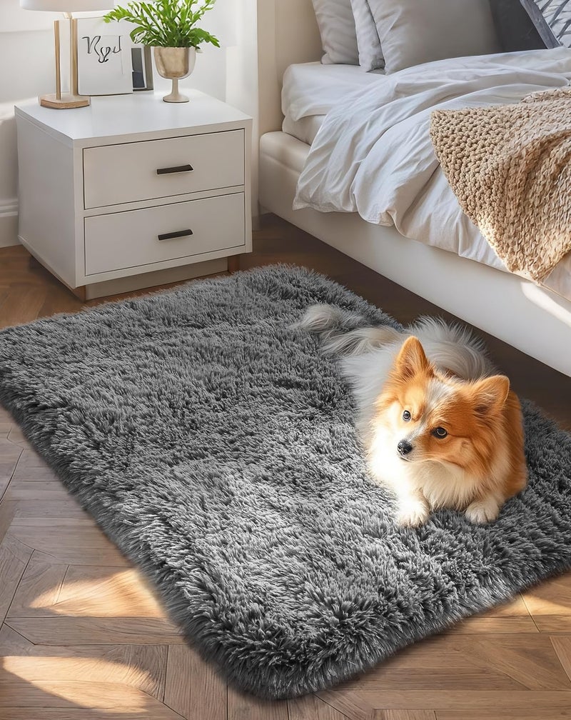 Ophanie Small Rug Upgrade Non Slip Throw Bedside Area Rugs, Fluffy Soft Grey Mini Bedroom Carpet, Affordable Door Entryway Indoor Inside Front Entrance Dog 2x3 Mat, Home Decor Aesthetic, Nursery - Image 1