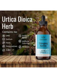 HERBAMAMA Stinging Nettle Root Tincture Organic Stinging Nettle Root Liquid Extract Urtica Dioica Herbal Drops Supplement 4 Fl Oz  - Image 4