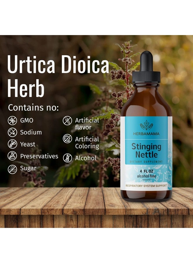 HERBAMAMA Stinging Nettle Root Tincture Organic Stinging Nettle Root Liquid Extract Urtica Dioica Herbal Drops Supplement 4 Fl Oz - Image 4