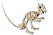 Crazy Bonez Skeleton Squirrel 7 Halloween Skeleton Animal Decoration with Bendable Tail Durable AllWeather Plastic Realistic Bone Detail for Indoor Outdoor Spooky Dcor and Garden Displays - Image 2