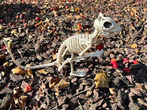 Crazy Bonez Skeleton Squirrel 7 Halloween Skeleton Animal Decoration with Bendable Tail Durable AllWeather Plastic Realistic Bone Detail for Indoor Outdoor Spooky Dcor and Garden Displays - Image 5