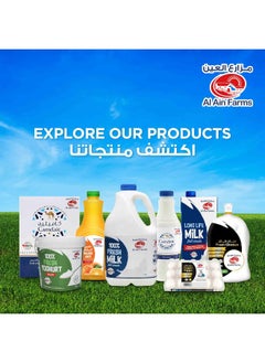 Al Ain Farms Al Ain Farms UHT Full Cream Milk 12 x 1 Liter  - Image 5