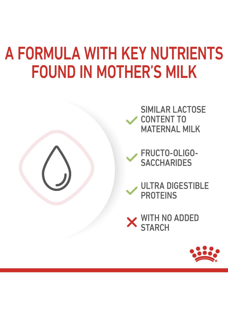 رويال كانين - حليب القطط للتغذية الصحية للقطط 300 جم - Image 3