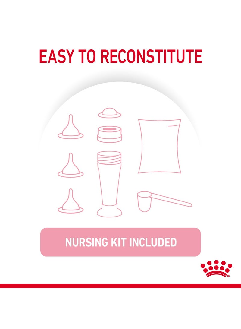 رويال كانين - حليب القطط للتغذية الصحية للقطط 300 جم - Image 5