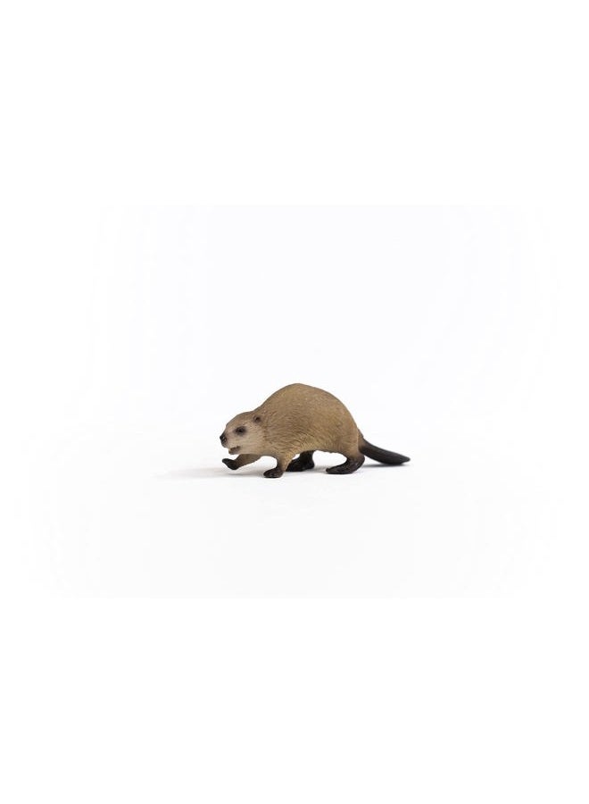 Schleich Beaver - Realistic Animal Figurine, Perfect for Kids and Collectors, Ideal Gift for Ages 3+ - Image 2