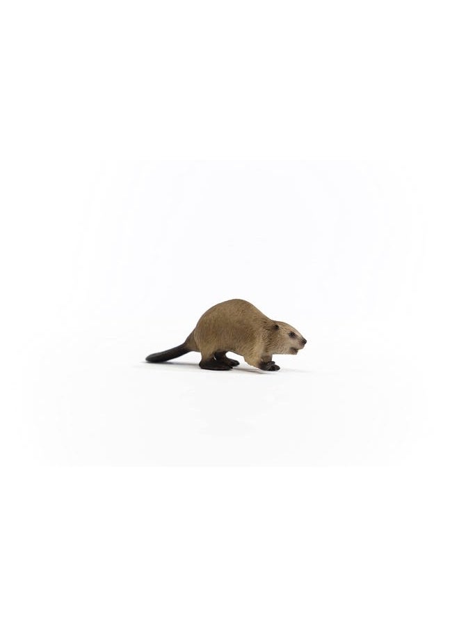 Schleich Beaver - Realistic Animal Figurine, Perfect for Kids and Collectors, Ideal Gift for Ages 3+ - Image 5